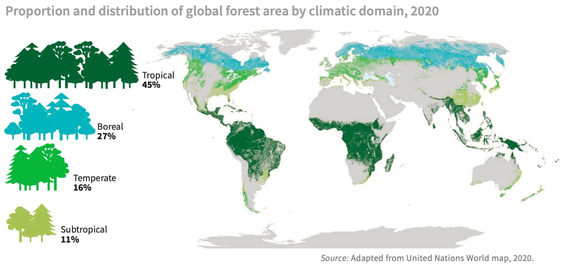 Deforestation continues, but at a lower rate: Global Forest Resources ...