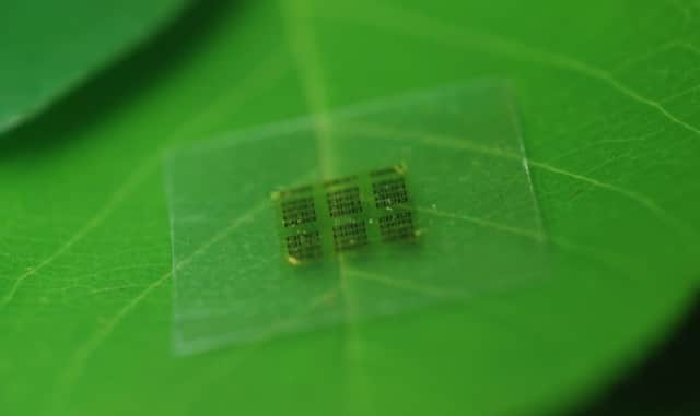 A cellulose nanofibril (CNF) computer chip rests on a leaf. Photo- Yei Hwan Jung, Wisconsin Nano Engineering Device Laboratory