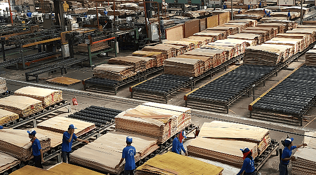 Akça Plywood Rusya'da Tesis Kuruyor