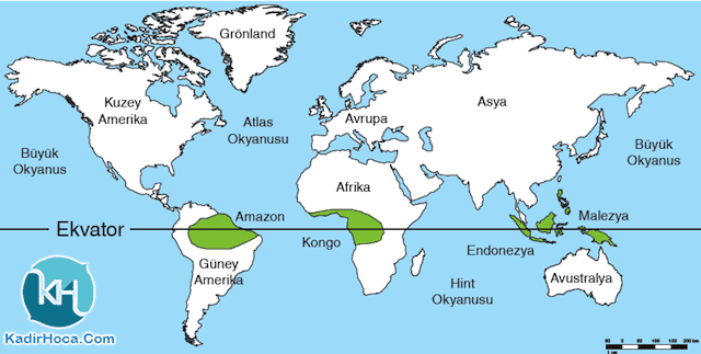 ekvatoral-tropikal-iklim